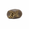 hashish differenza con erba